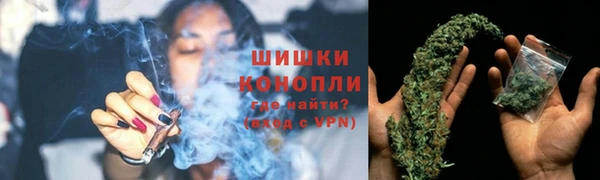 эйфоретик Пересвет