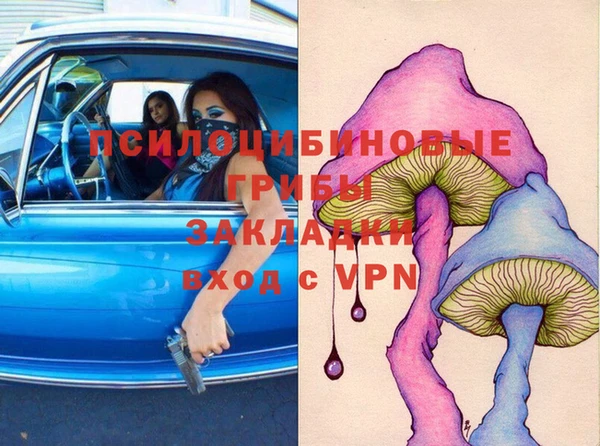 эйфоретик Пересвет