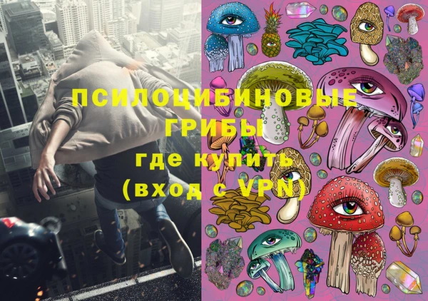 гидра Переславль-Залесский