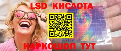 гидра Таганрог