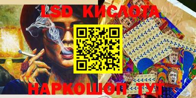 гидра Таганрог