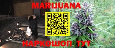 гидра Таганрог