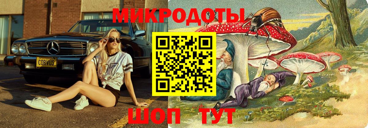 Альметьевск  Псилоцибиновые грибы MAGIC MUSHROOMS  Галлюциногенные грибы мицелий  Вход с VPN 